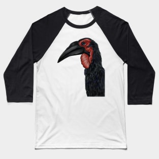 Southern Ground Hornbill Illustration Baseball T-Shirt